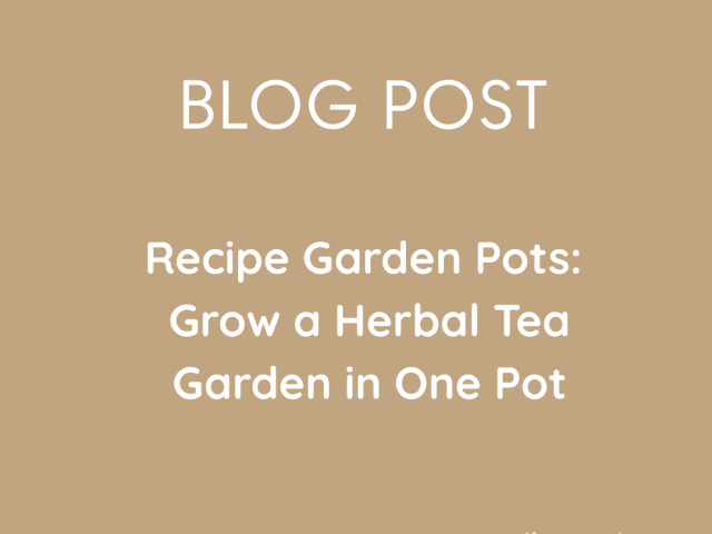 Recipe Garden Pots: Grow a Herbal Tea Garden in One Pot