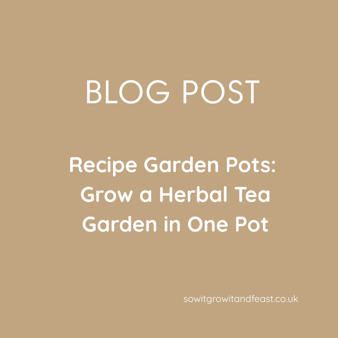 Recipe Garden Pots: Grow a Herbal Tea Garden in One Pot