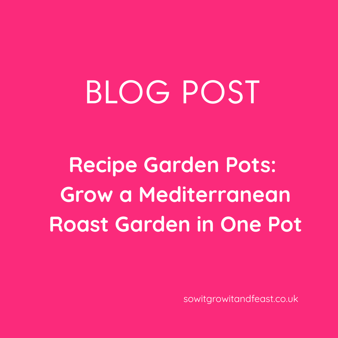 Recipe Garden Pots: Grow a Mediterranean Roast in One Pot