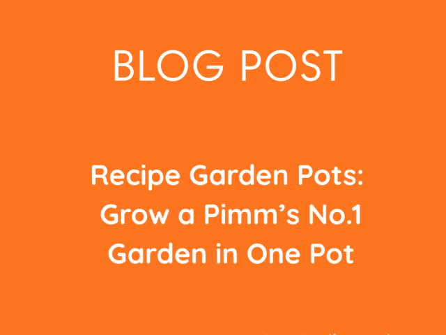 Recipe Garden Pots: Grow a Pimm’s No.1 Garden in One Pot