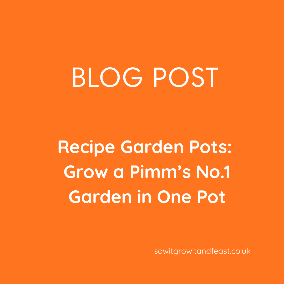 Recipe Garden Pots: Grow a Pimm’s No.1 Garden in One Pot