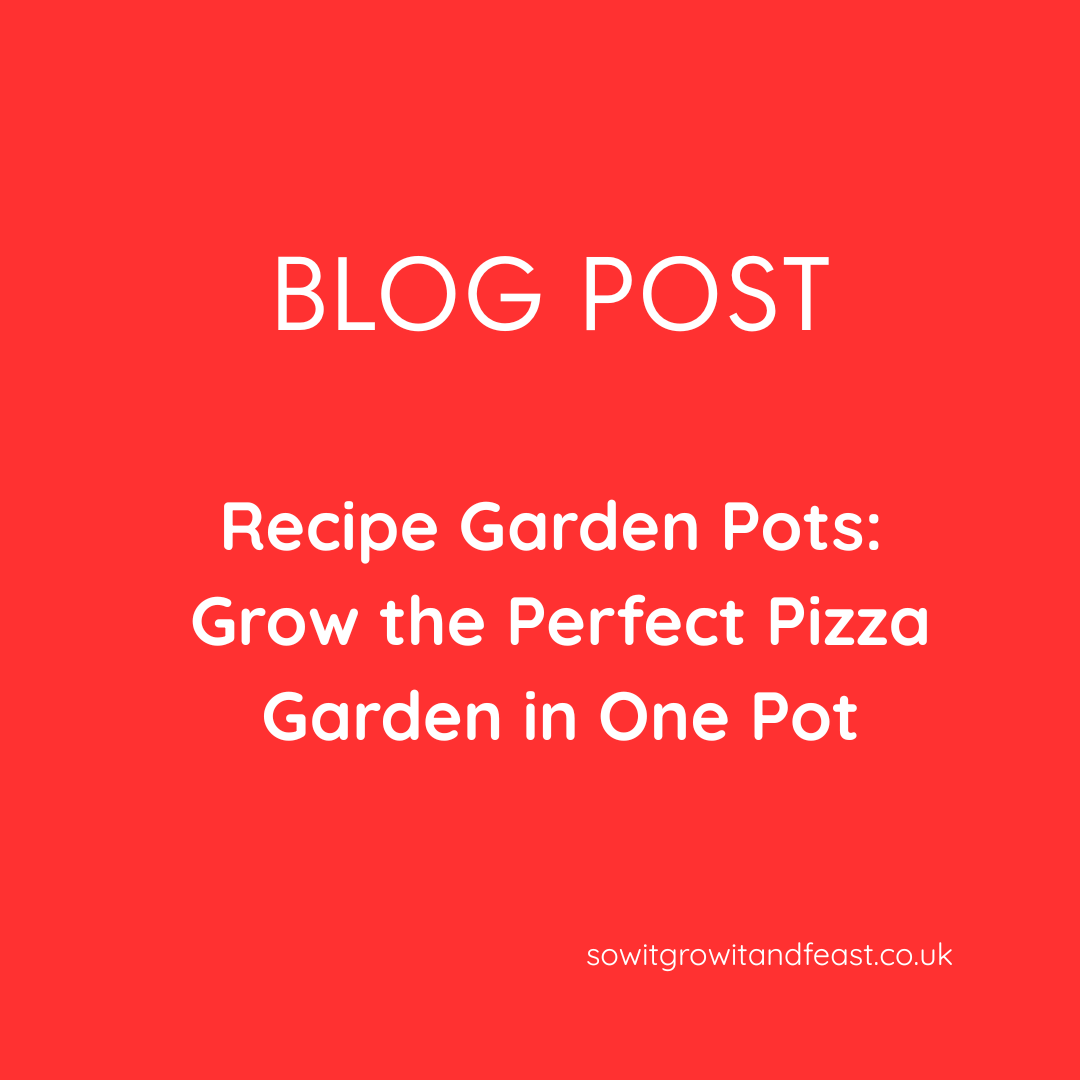 Recipe Garden Pots: Grow the Perfect Pizza Garden in One Pot