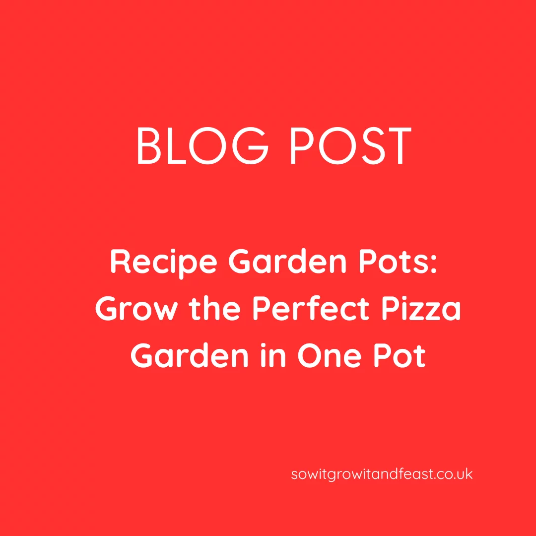 Recipe Garden Pots:  Pizza in One Pot