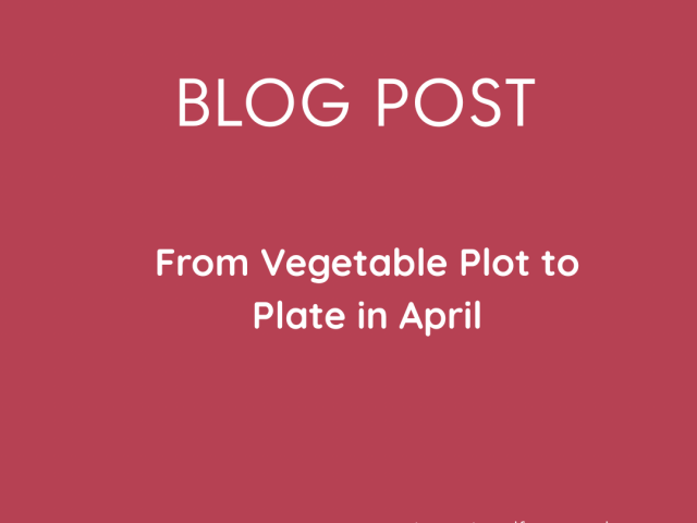 From Vegetable Plot to Plate in April