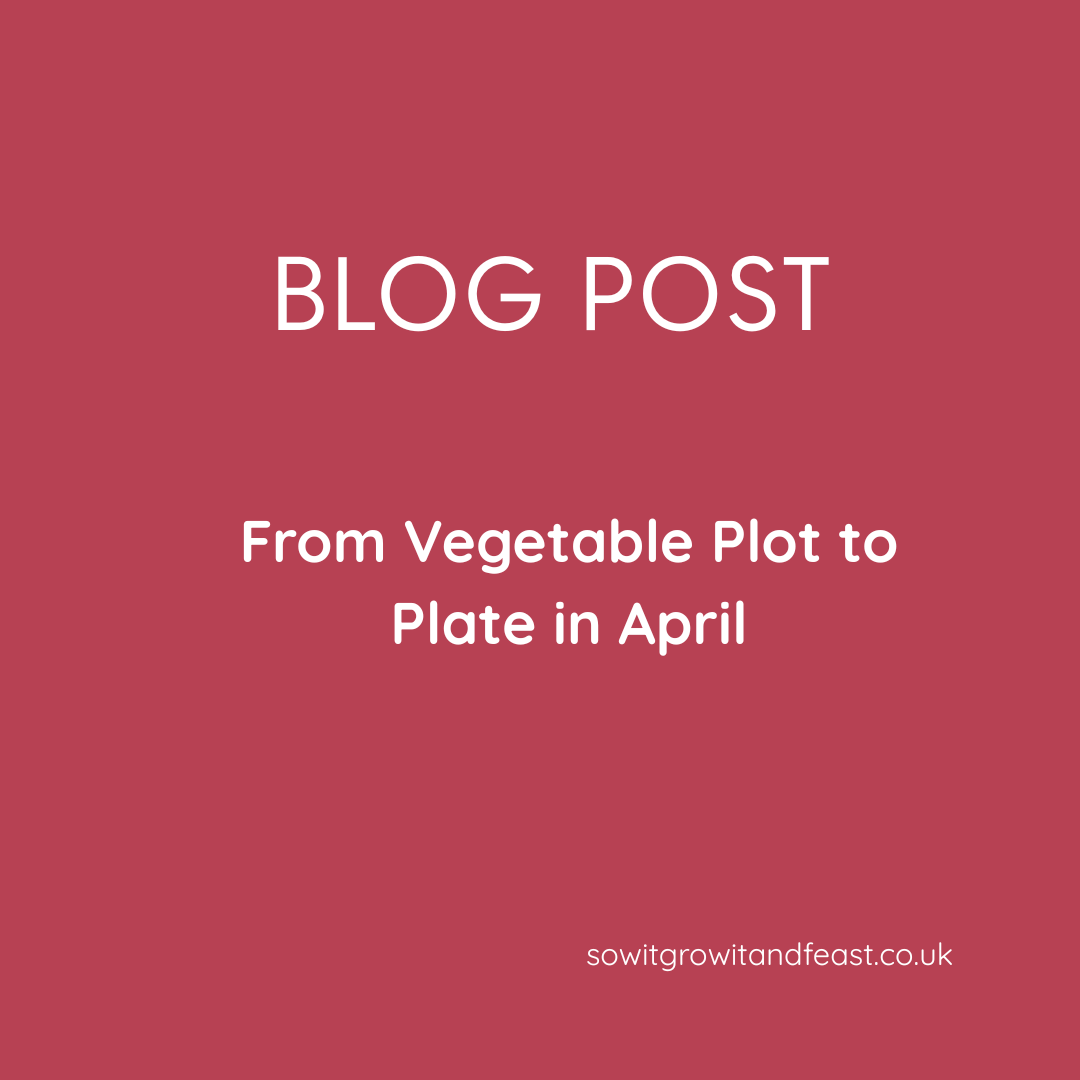From Vegetable Plot to Plate in April
