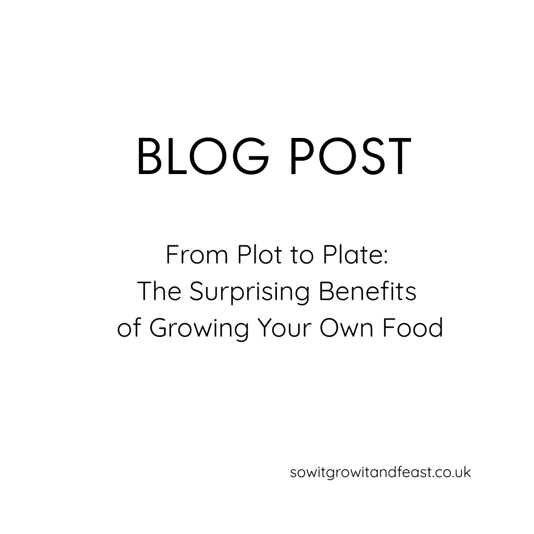 Blog Post. From Plot to Plate: The Surprising Benefits of Growing Your Own Food
