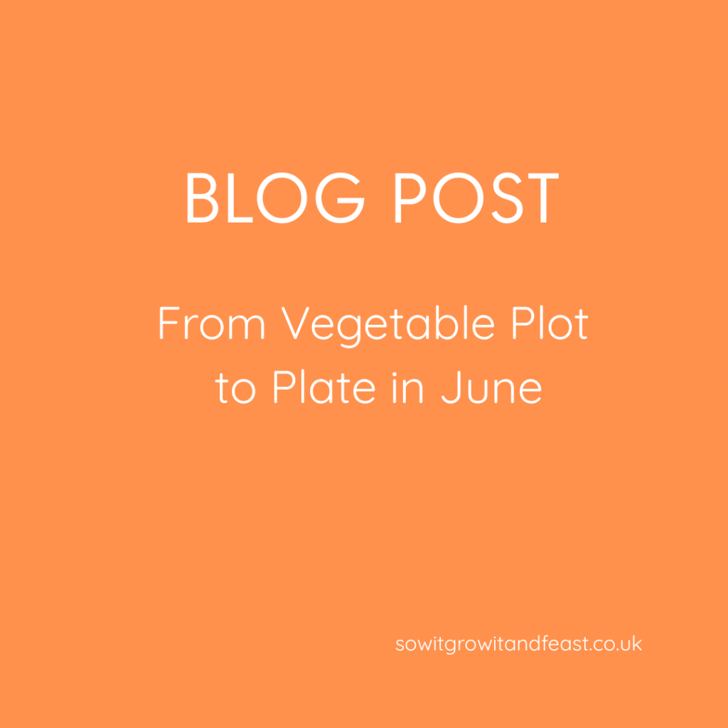 From Vegetable Plot to Plate in June