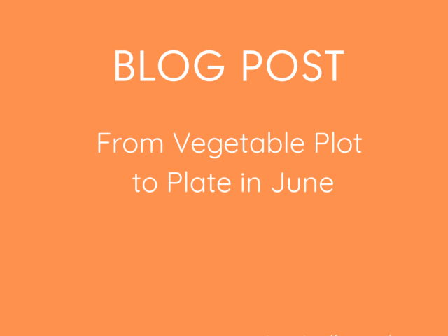 From Vegetable Plot to Plate in June