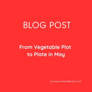 From Vegetable Plot to Plate in May