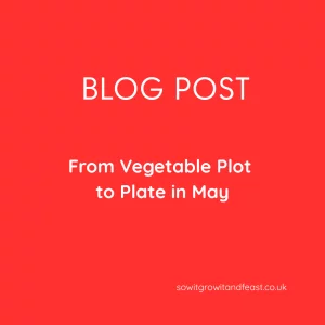 From Vegetable Plot to Plate in May