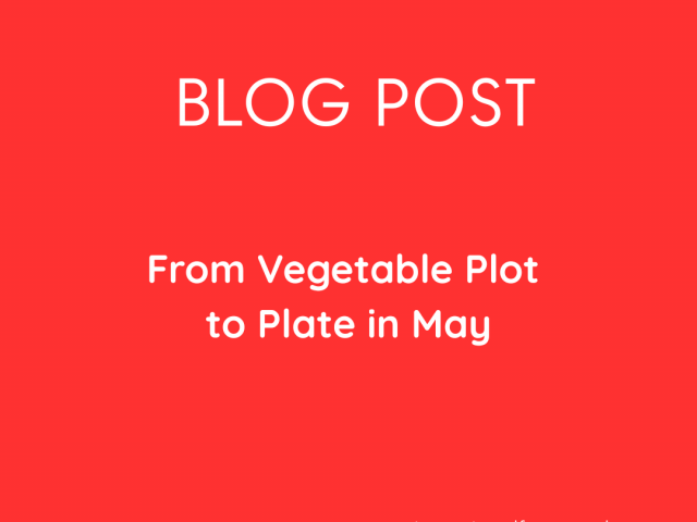 From Vegetable Plot to Plate in May