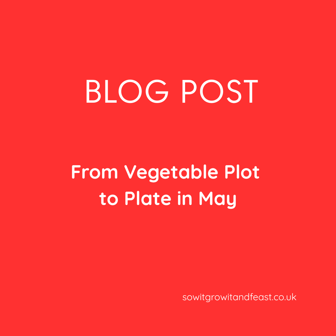 From Vegetable Plot to Plate in May