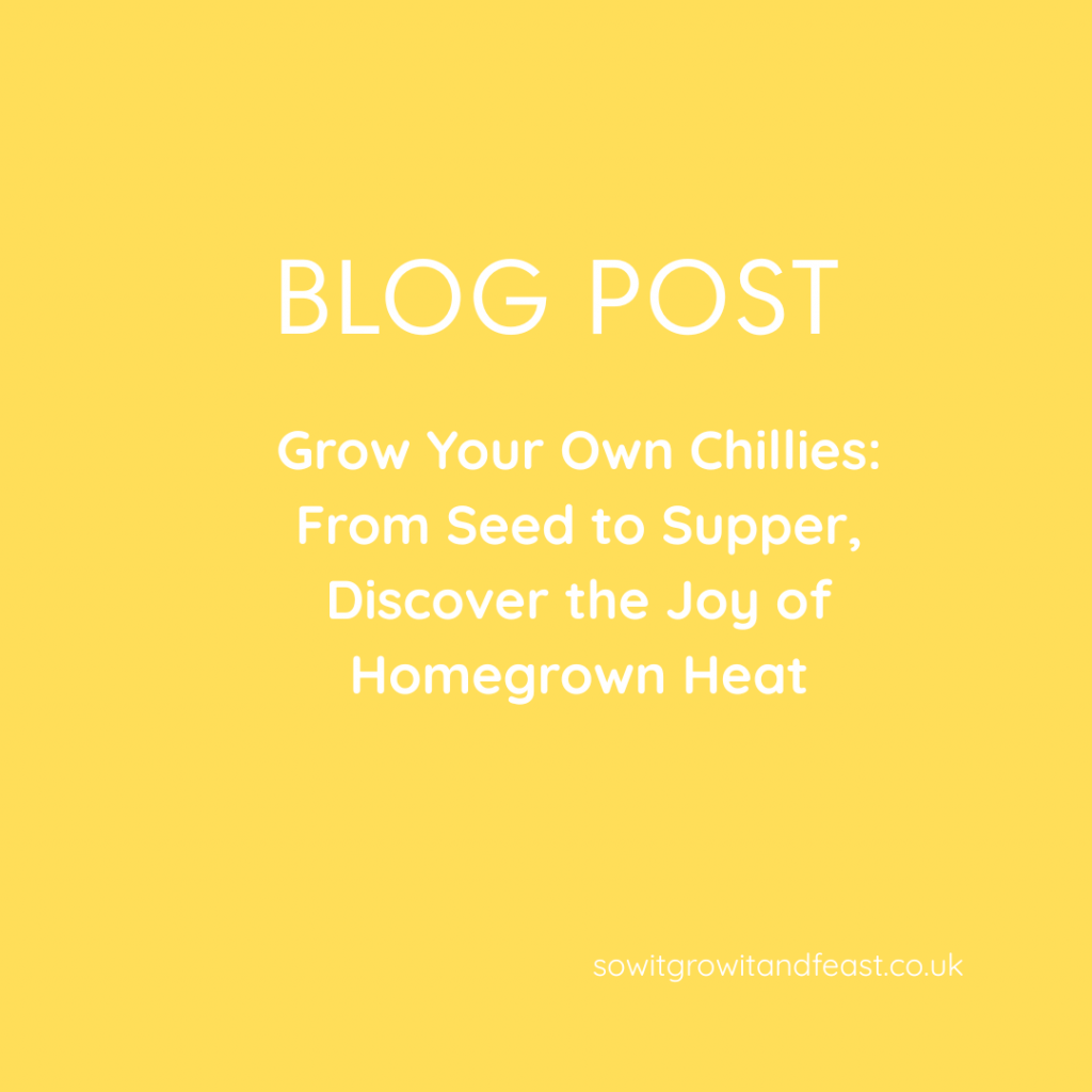 Grow Your Own Chillies: Discover the Joy of Homegrown Heat