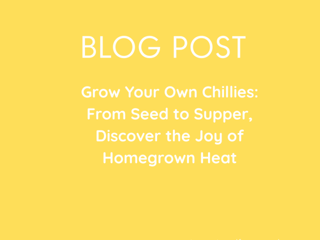 Grow Your Own Chillies: Discover the Joy of Homegrown Heat