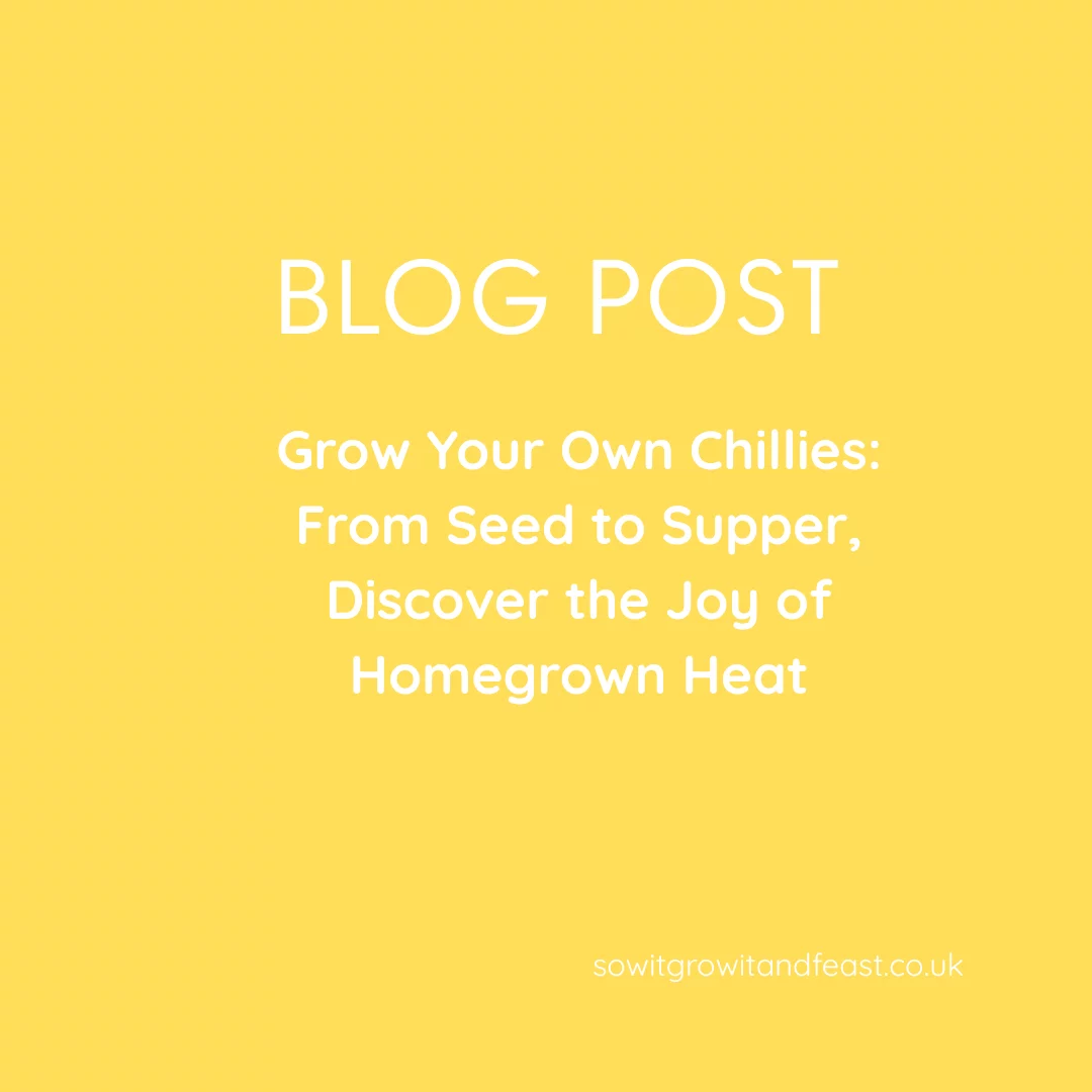 Grow Your Own Chillies: Discover the Joy of Homegrown Heat