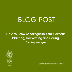 How to Grow Asparagus in Your Garden: Planting, Harvesting and Caring for Asparagus