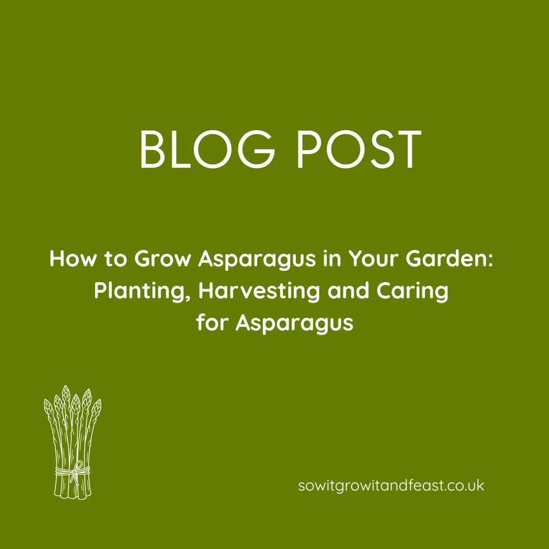 How to Grow Asparagus in Your Garden: Planting, Harvesting and Caring for Asparagus
