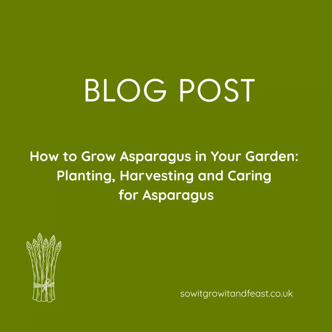 How to Grow Asparagus in Your Garden: Planting, Harvesting and Caring for Asparagus