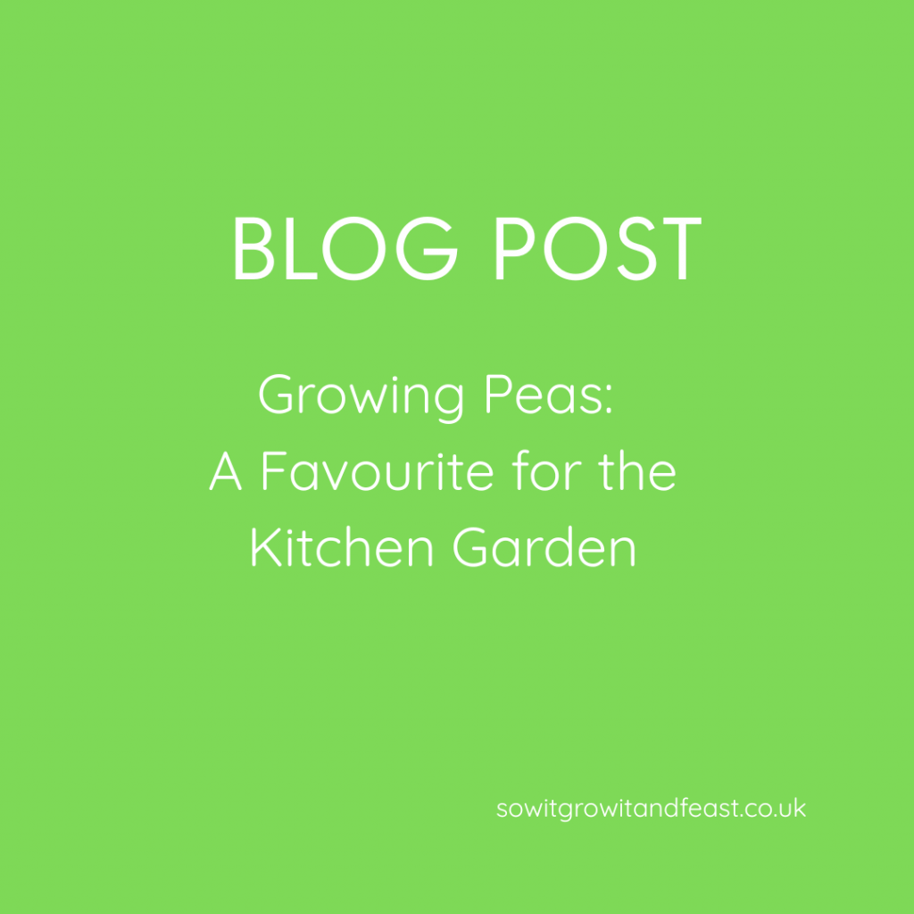Growing Peas: A Favourite for the Kitchen Garden