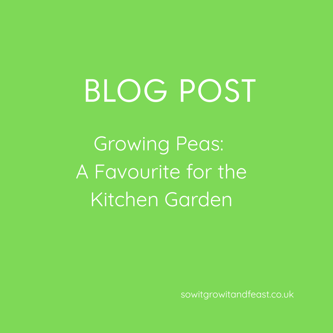 Blog Post. Growing Peas. A favourite for the Kitchen garden.
