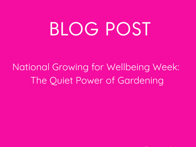 National Growing for Wellbeing Week: The Quiet Power of Gardening