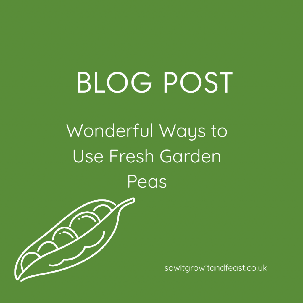Wonderful Ways to Use Fresh Garden Peas
