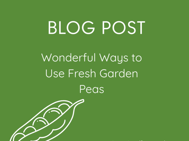 Wonderful Ways to Use Fresh Garden Peas