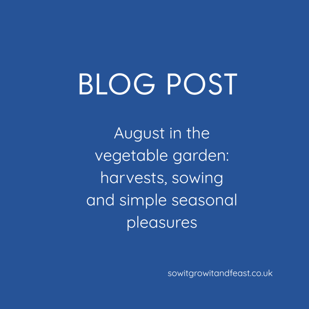 August Vegetable Garden