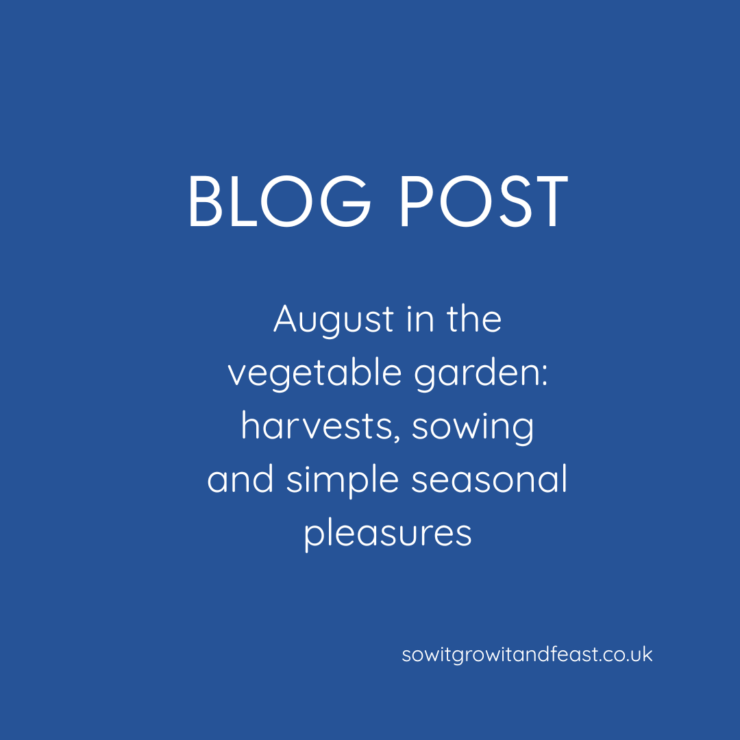August Vegetable Garden