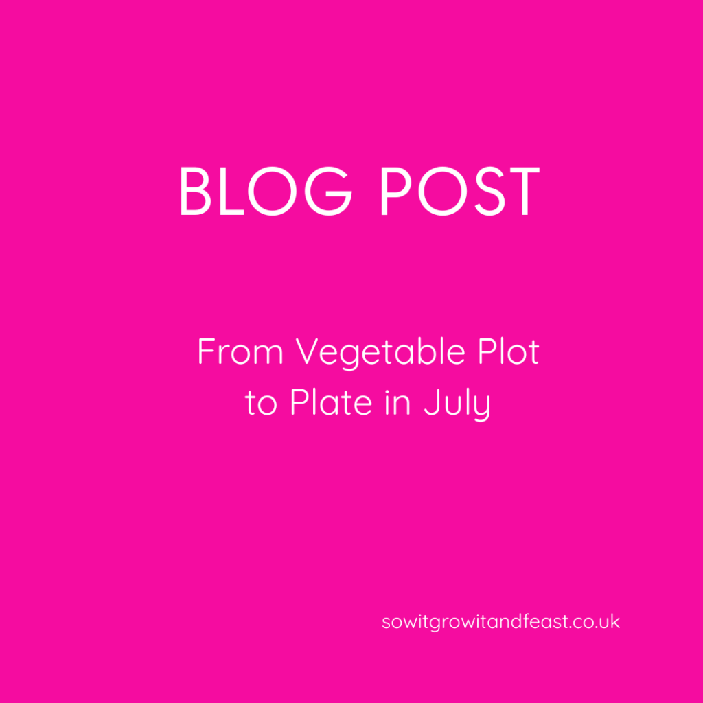 From Vegetable Plot to Plate in July