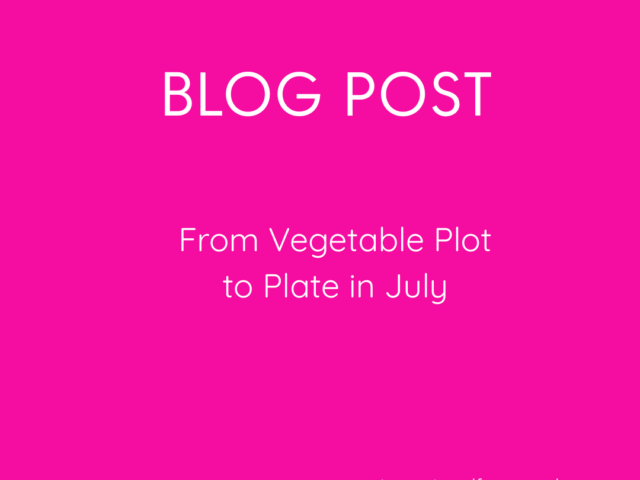 From Vegetable Plot to Plate in July