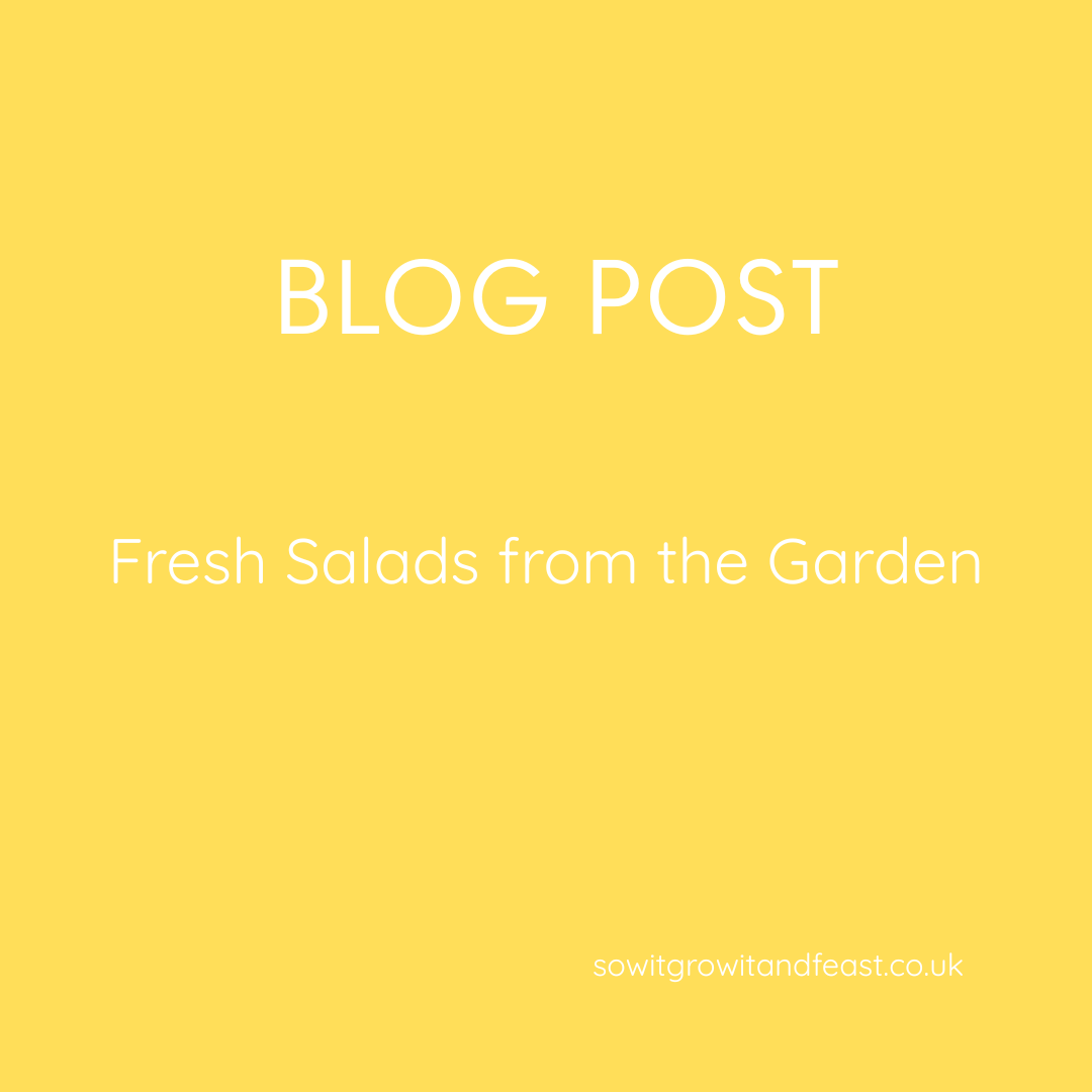 Fresh Salads from the Garden