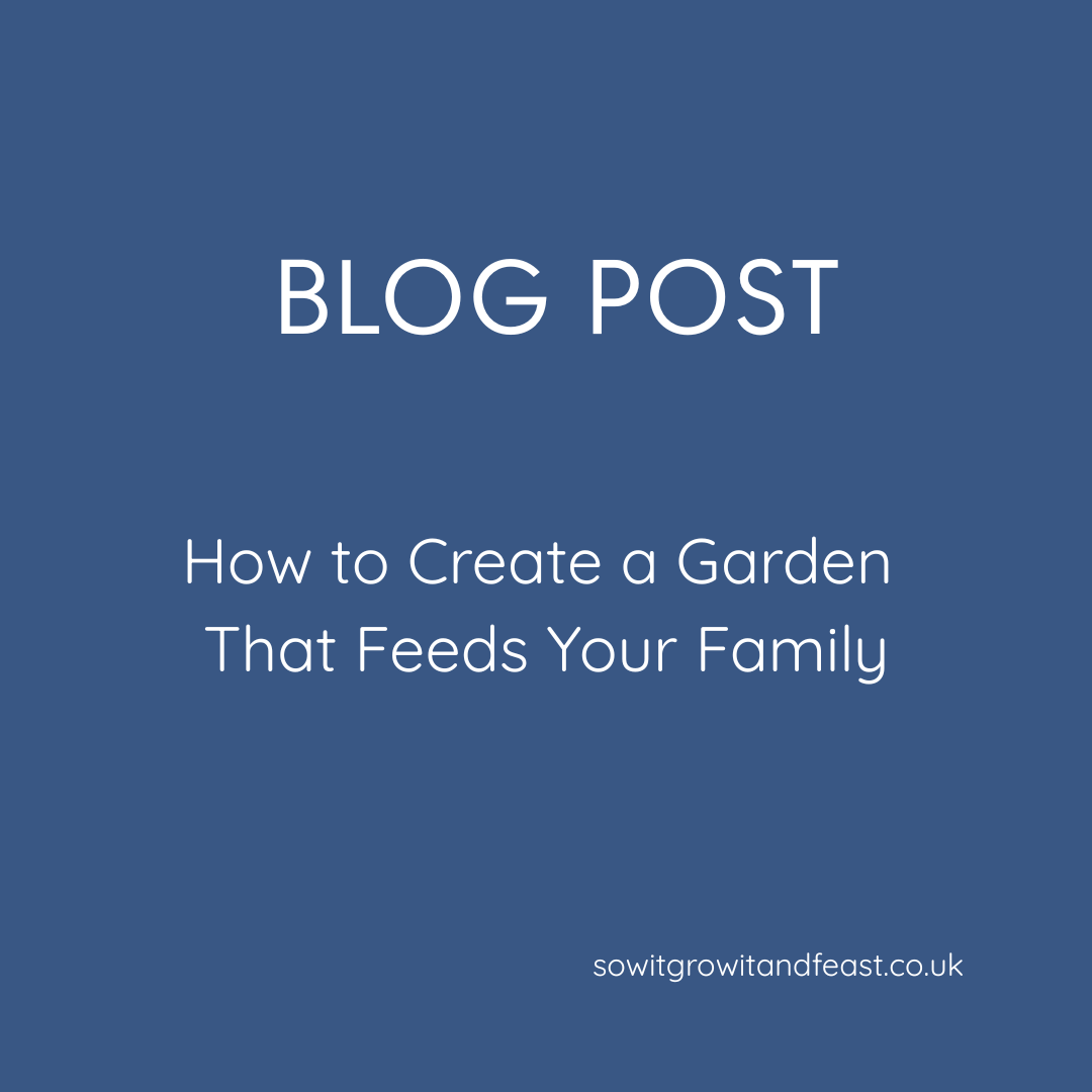 How to Create a Garden That Feeds Your Family