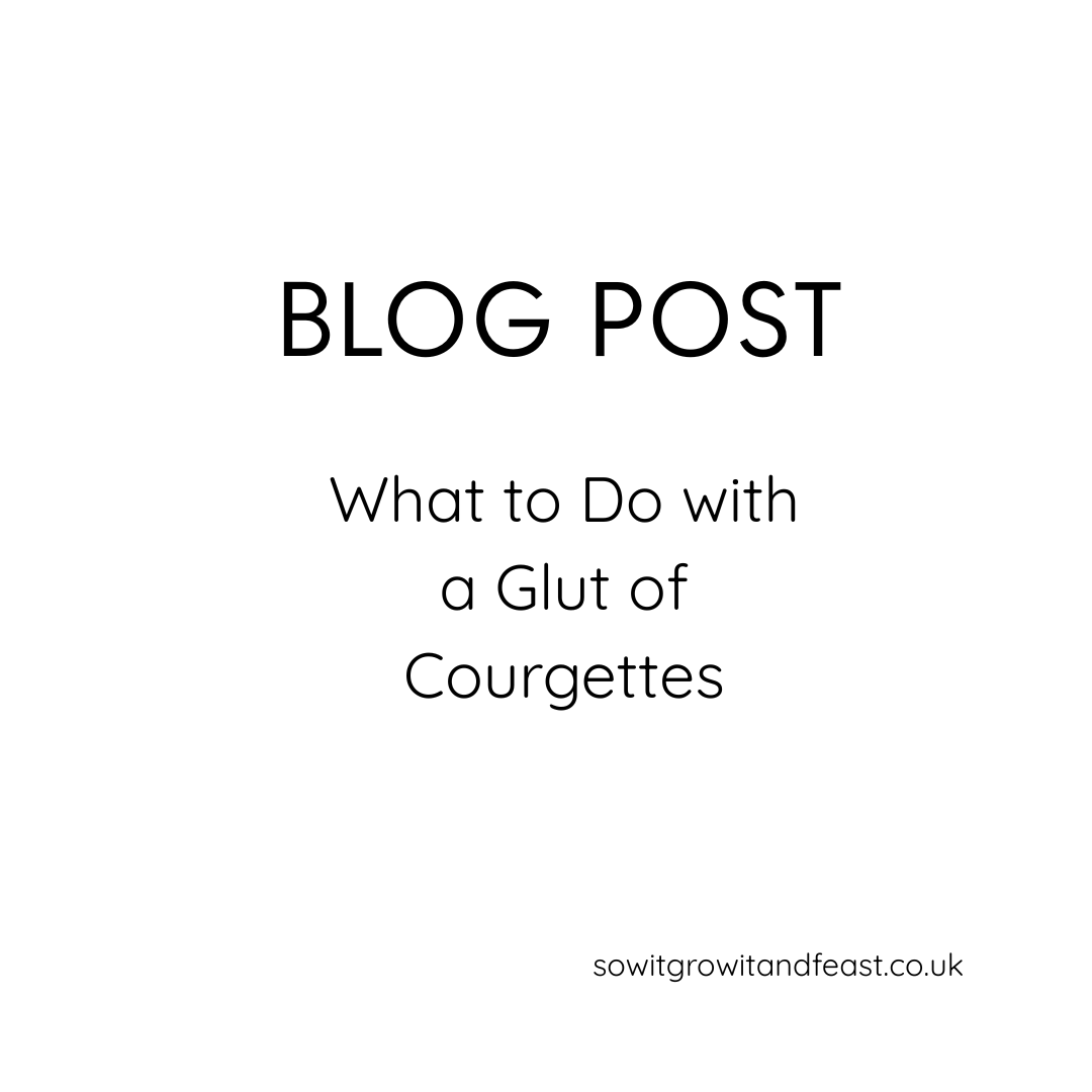 What to Do with a Glut of Courgettes