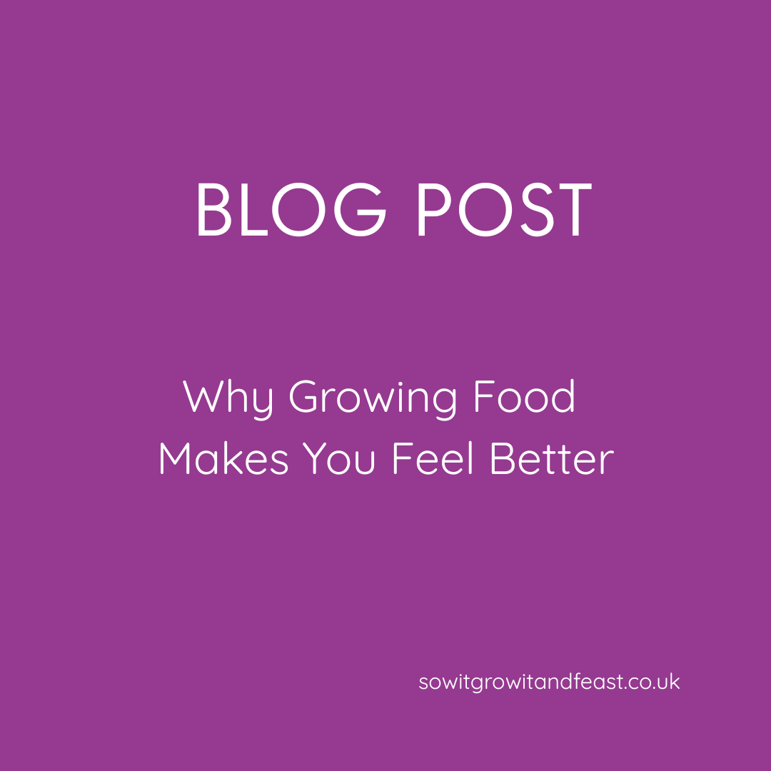 Why Growing Food Makes You Feel Better | Sarah Coles Meta Description (under 160 characters) Discover how growing your own food can lift your mood, reduce stress, improve wellbeing and strengthen your connection with nature.