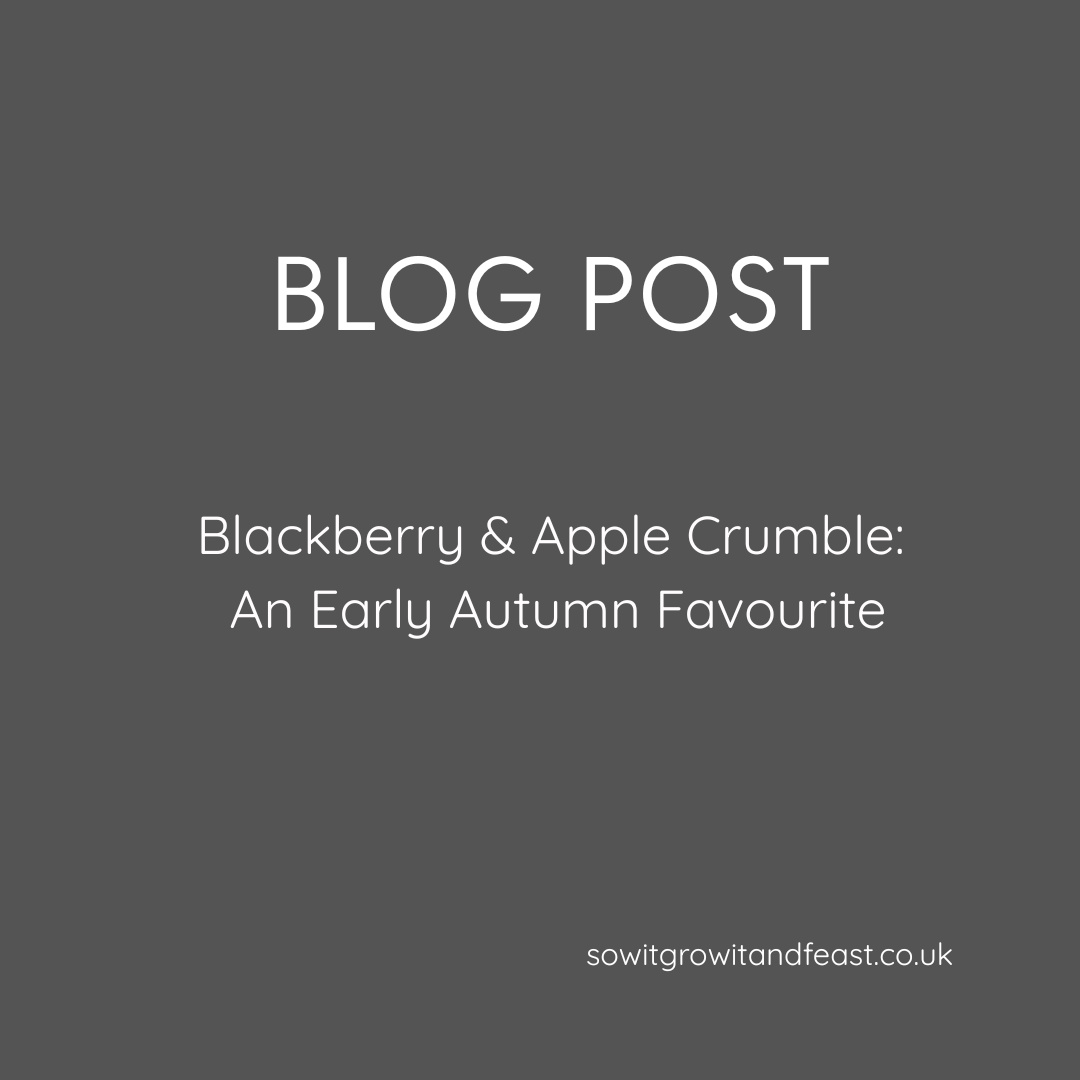 Blackberry & Apple Crumble: An Early Autumn Favourite