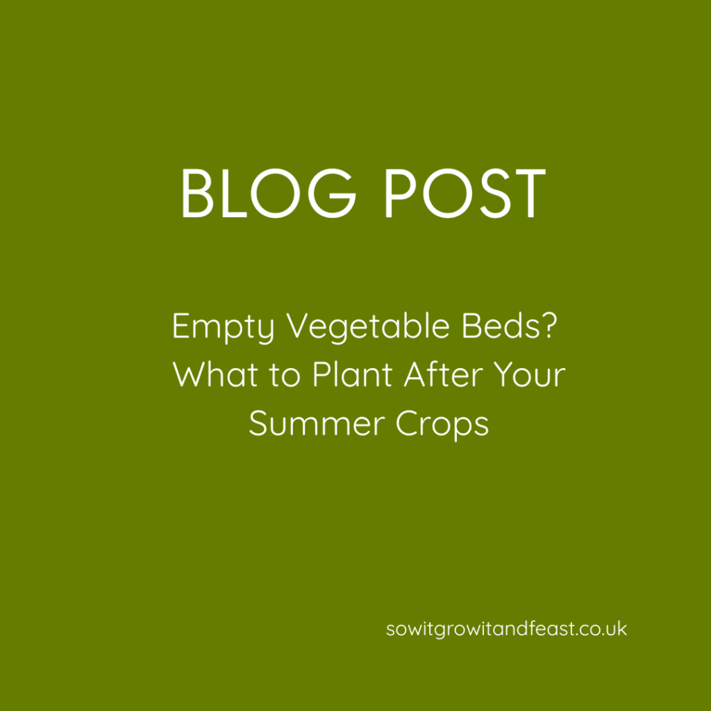Empty Vegetable Beds? What to Plant After Your Summer Crops