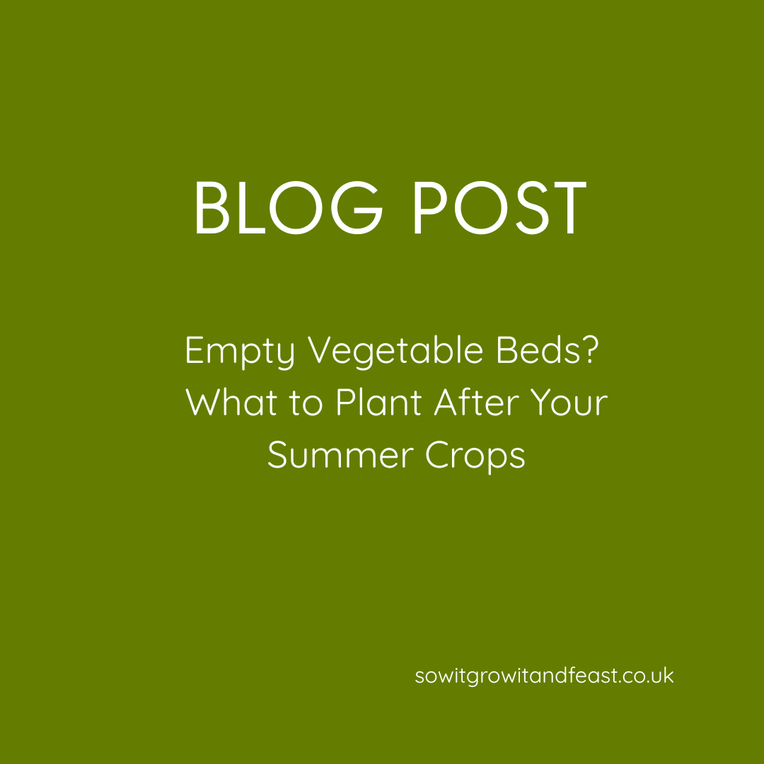 Empty Vegetable Beds? What to Plant After Your Summer Crops