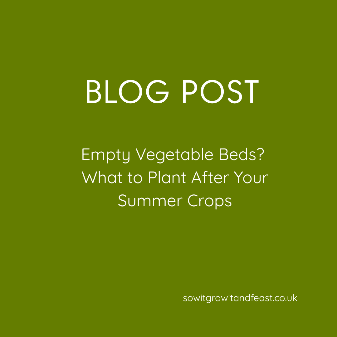 Empty Vegetable Beds? What to Plant After Your Summer Crops