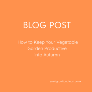 Blog Post. How to Keep your Vegetable Garden Productive into Autumn. sowitgrowitandfeast.co.uk