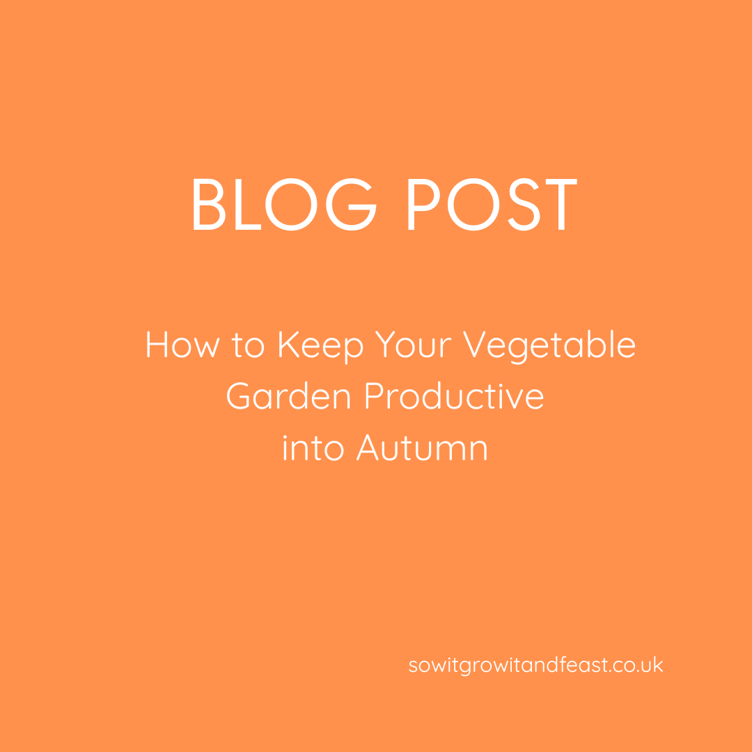 How to Keep Your Vegetable Garden Productive into Autumn