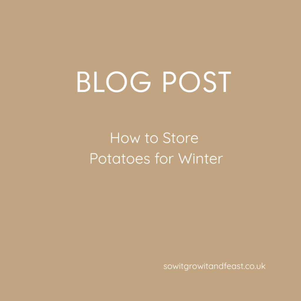 How to Store Potatoes for Winter