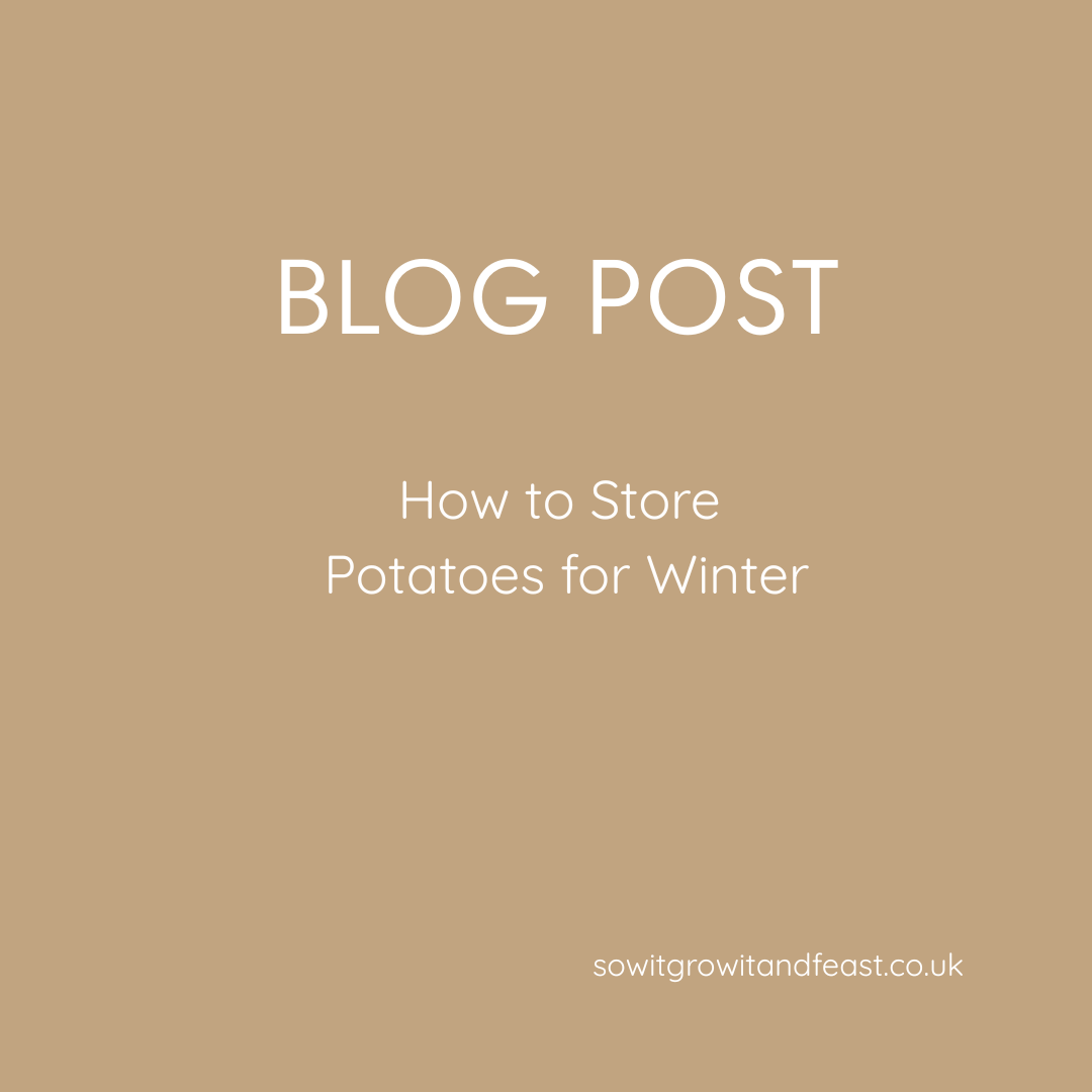 How to Store Potatoes for Winter