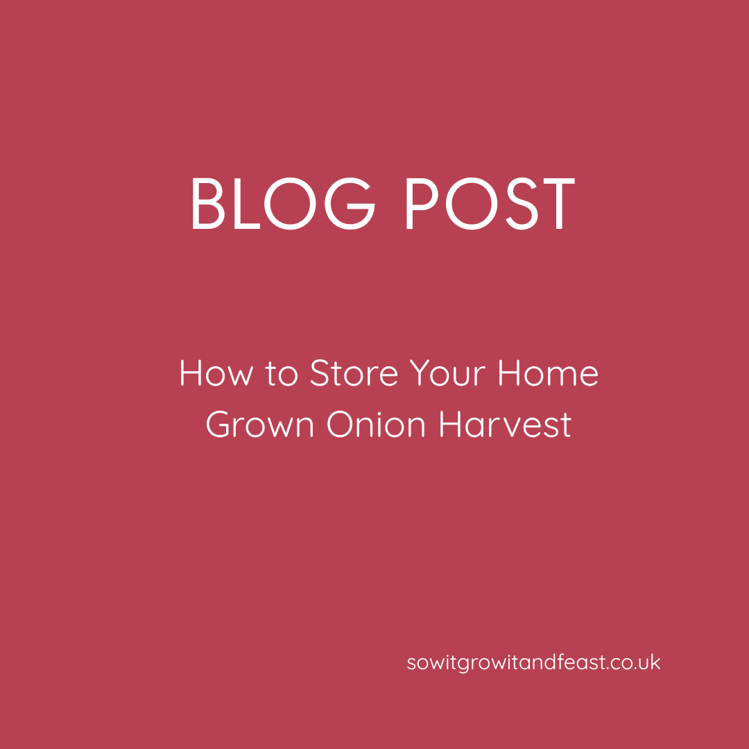 How to Store Your Home-Grown Onion Harvest