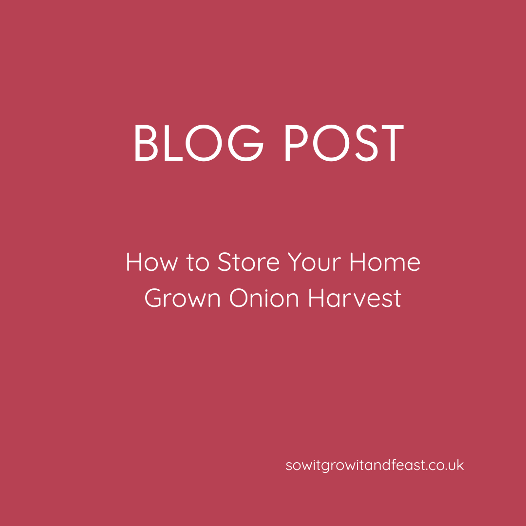 How to Store Your Home-Grown Onion Harvest