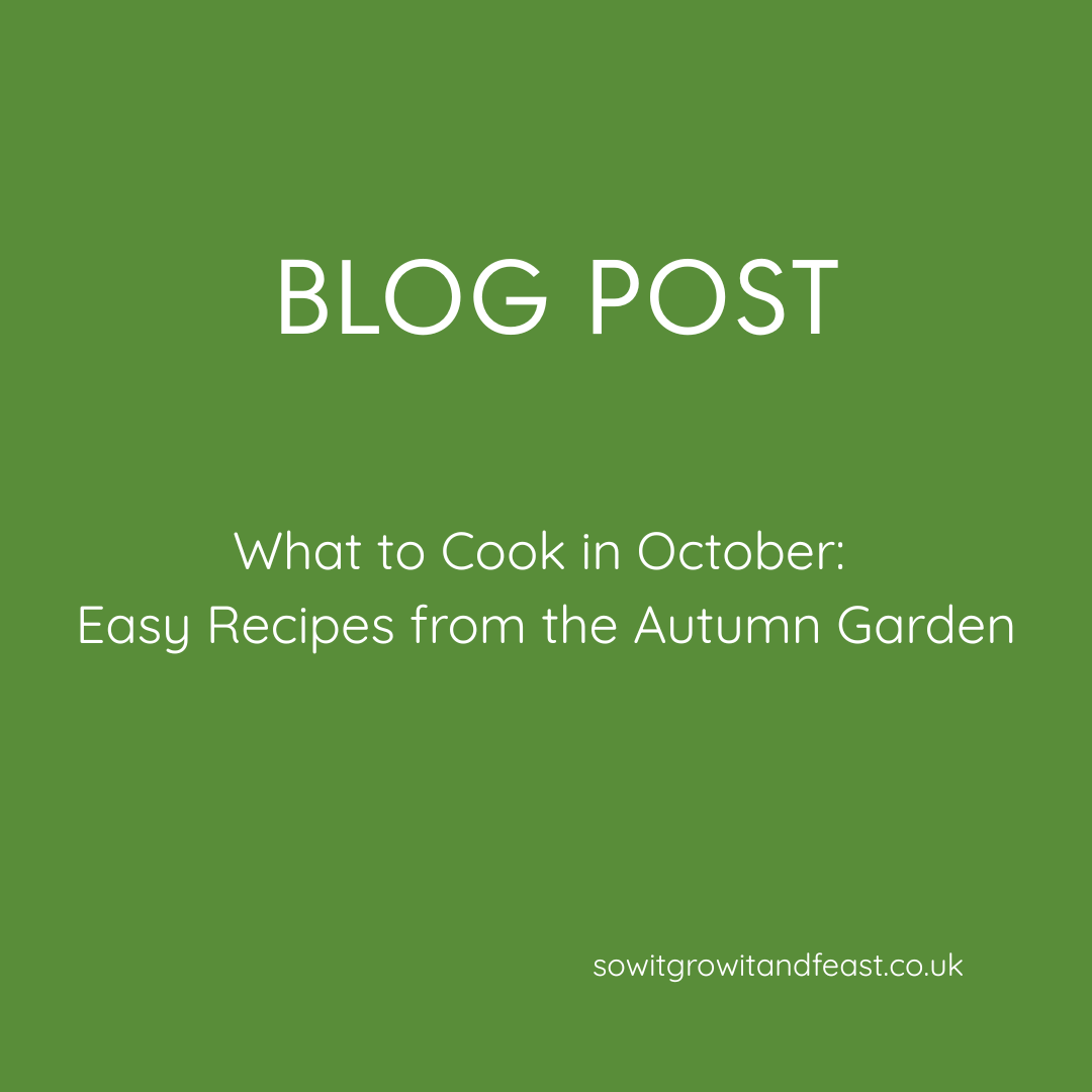 What to Cook in October: Easy Recipes from the Autumn Garden