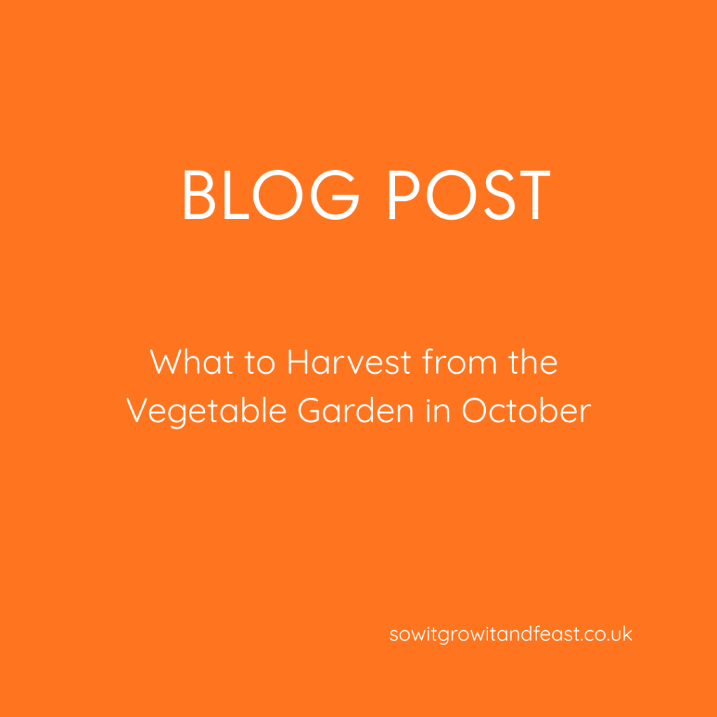 What to Harvest from the Vegetable Garden in October