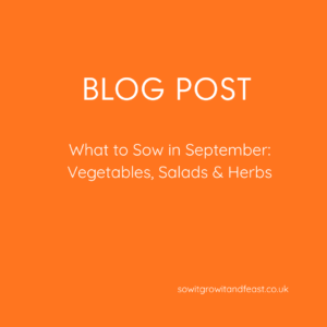 Blog Post. What to Sow in September Vegetable Salads and Herbs. sowitgrowitandfeast.co.uk