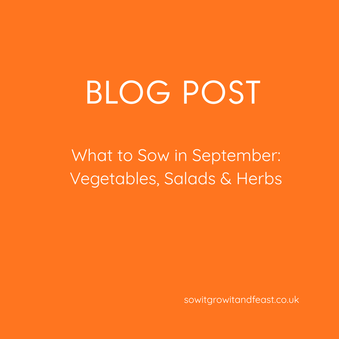 What to Sow in September: Vegetables, Salads & Herbs