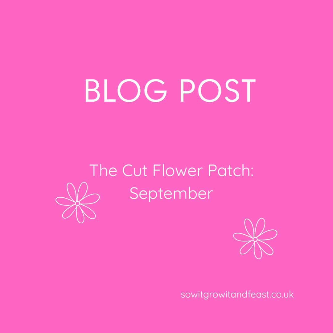 Blog Post. The Cut Flower Patch: September